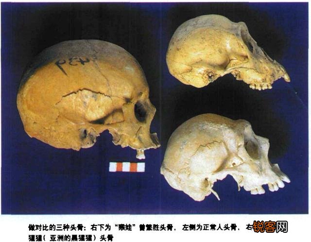 有哪些农村的奇人异事诡异事件？