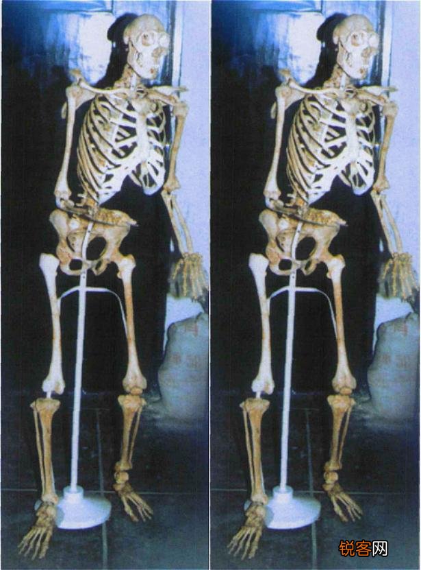 有哪些农村的奇人异事诡异事件？