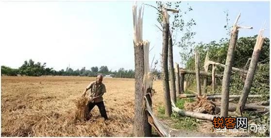贵州空中怪车事件真是地外文明所致吗？