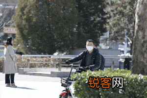 佳能打鸟相机推荐 佳能1D X旗舰单反什么时候上市的
