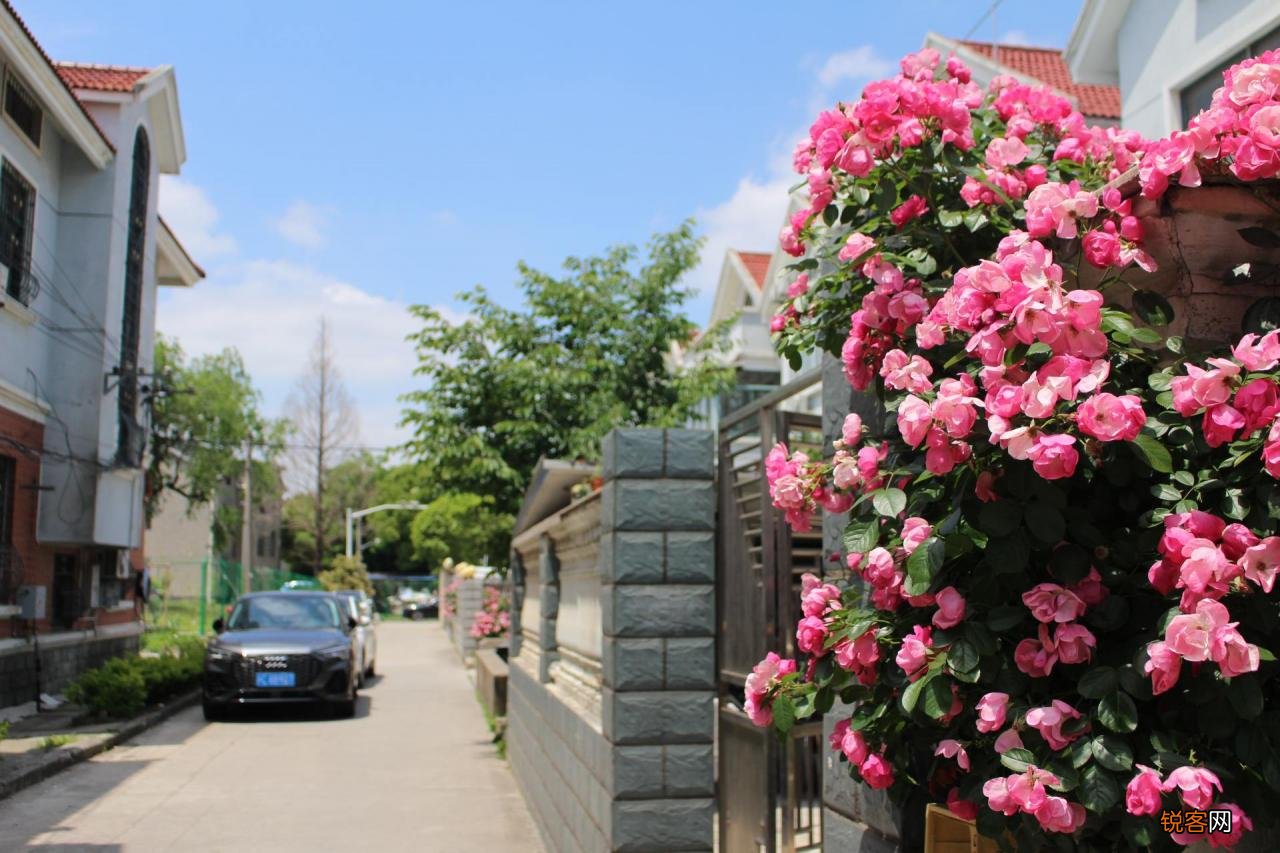 100D优缺点分析 佳能100D使用教程