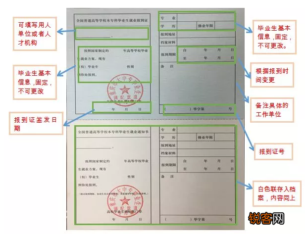 应届毕业生推荐表怎么填 就业推荐表如何高效填写