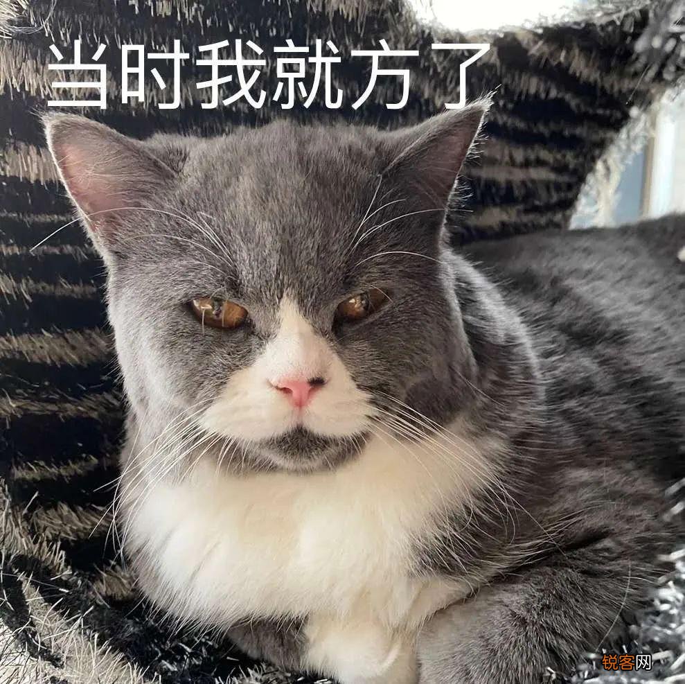 应届毕业生推荐表怎么填 就业推荐表如何高效填写
