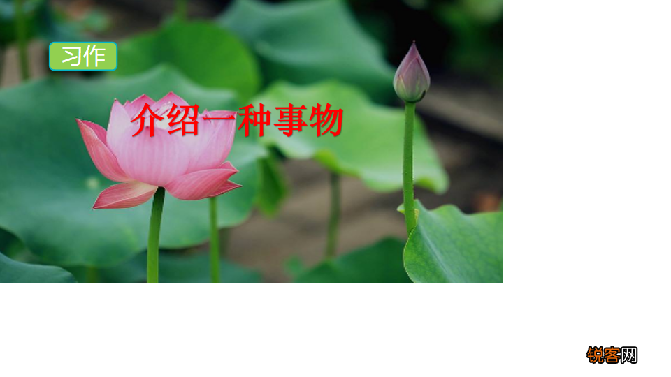 介绍一种事物作文怎么写 作文写作指导