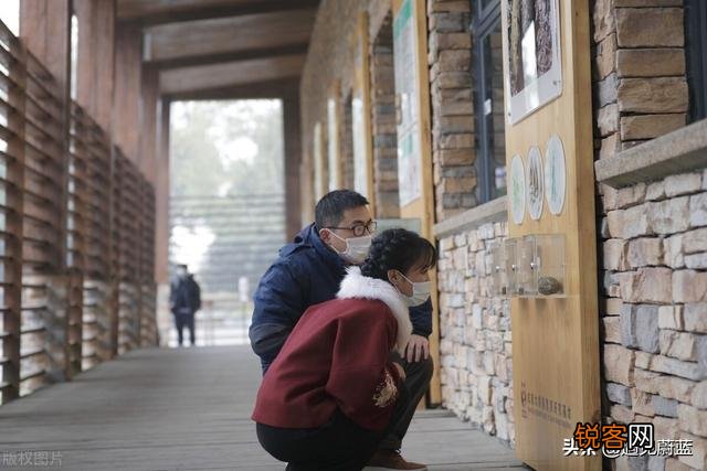 李子柒与微念将对簿公堂,是微念吃相难看,还是李子柒要求太多？