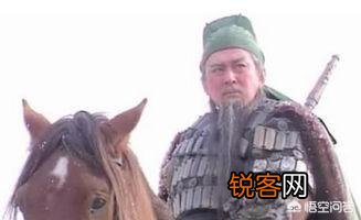 《三国演义》要做一个武力和智力综合排行榜,排名前10位在你心中都会是谁？