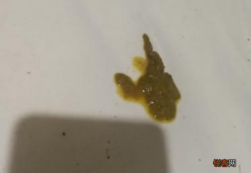 幼犬拉稀怎么回事