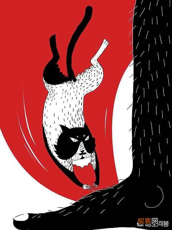 求分享令人搞笑的客服对话？