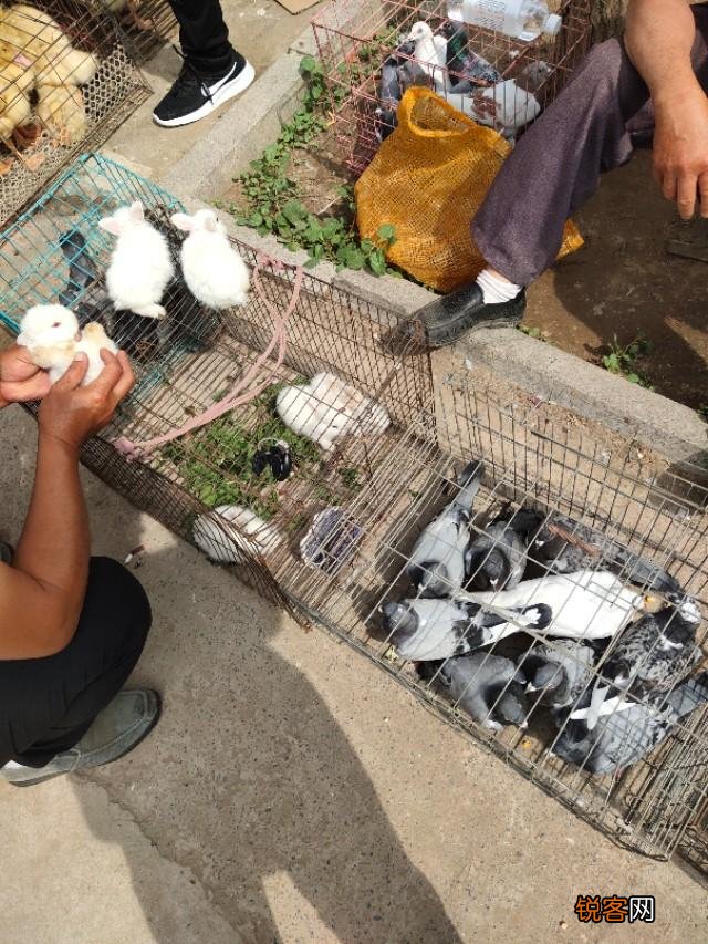 路边可以摆摊好,还是不摆摊好,为什么？合法你愿意摆摊吗？