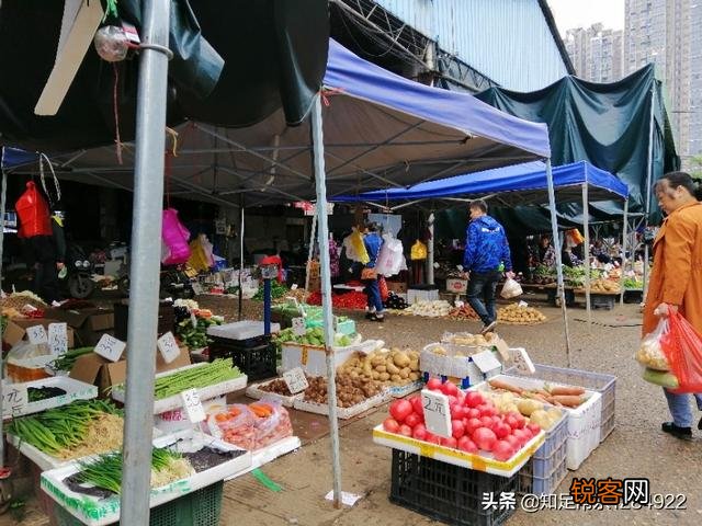 摆路边摊一个月真的可以赚7万块吗？你愿意去吗？