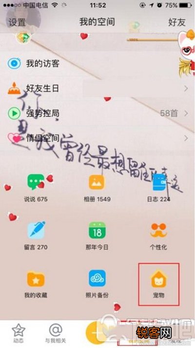 qq怎么升级空间宠物猫？