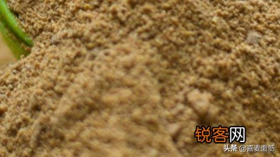烧烤必备的调料 十几年烧烤老店的撒料配方