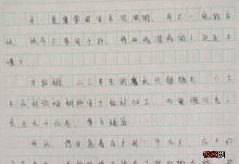 感谢生活作文精选10篇