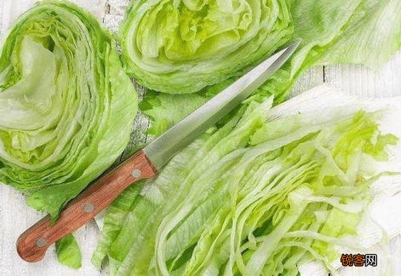 白菜吃的是什么部位