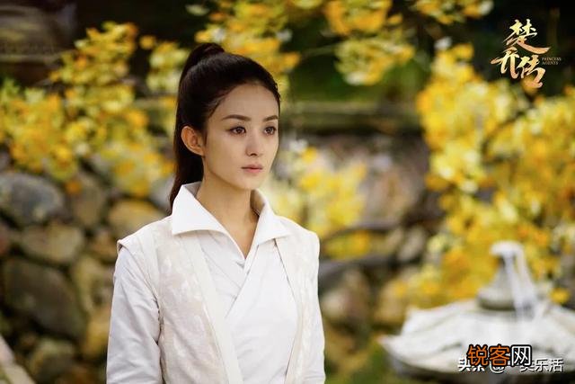 孙俪,刘涛,赵丽颖都是实力派演员,你认为她们演技怎么样？