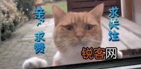 《穿越火线》英雄刀你喜欢哪一把？