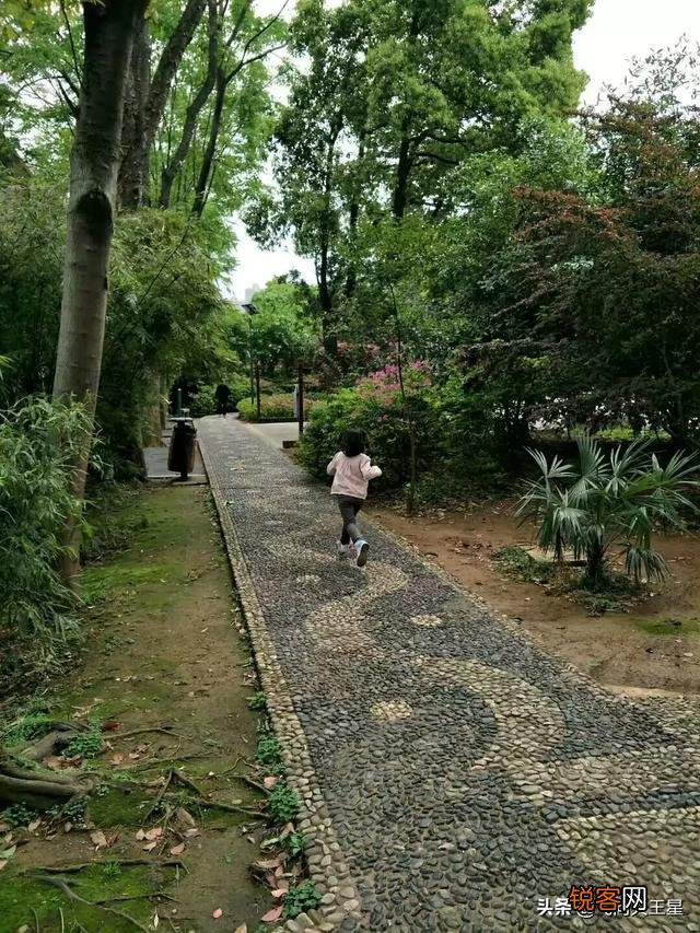 如何拍摄“ 夜来风雨声,花落知多少”的意境？