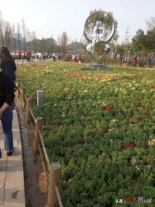如何拍摄“ 夜来风雨声,花落知多少”的意境？