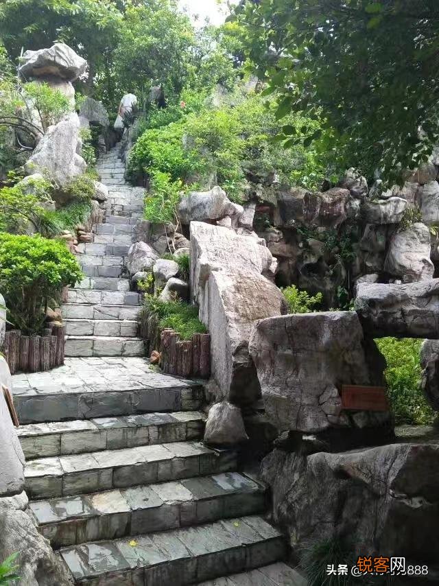 如何拍摄“ 夜来风雨声,花落知多少”的意境？