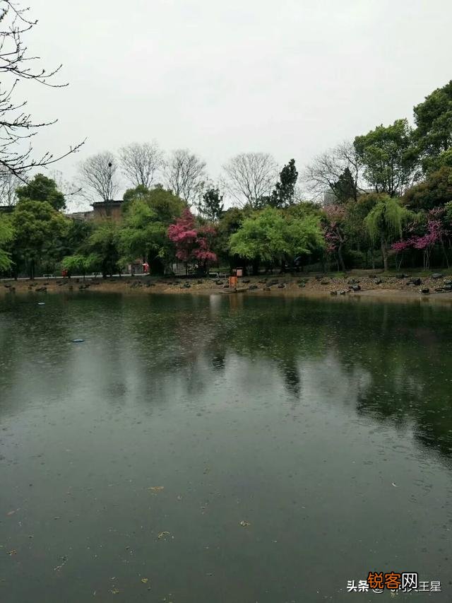 如何拍摄“ 夜来风雨声,花落知多少”的意境？