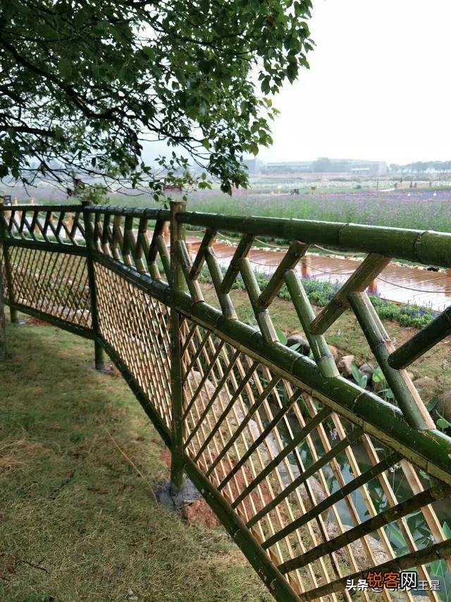 如何拍摄“ 夜来风雨声,花落知多少”的意境？