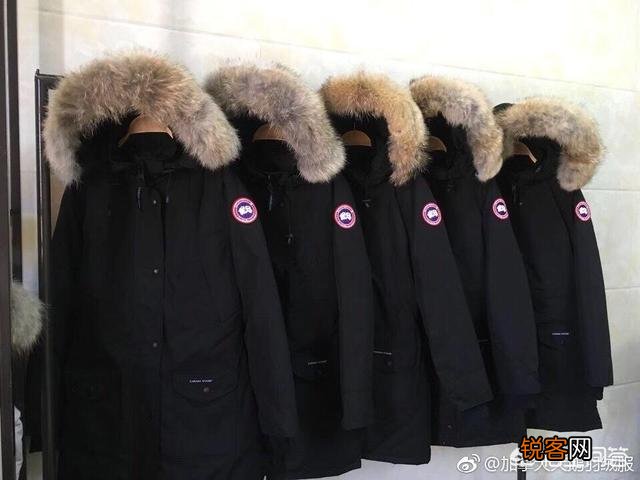 巴宝莉、蒙口、加拿大鹅相比哪个更好？为什么？