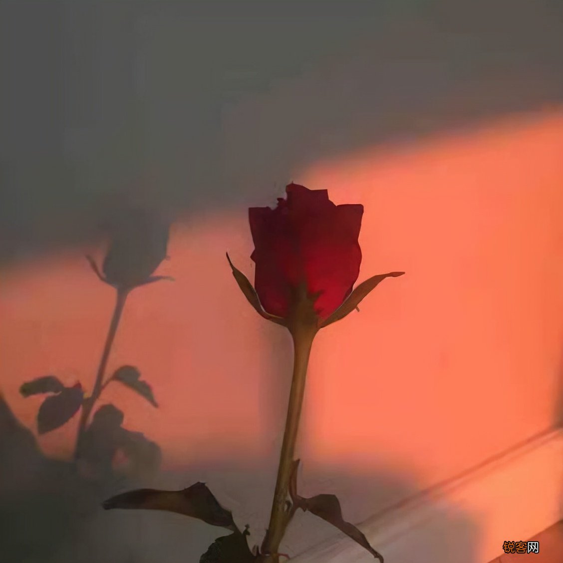 迎合你所有情绪的句子 适合所有情绪的句子