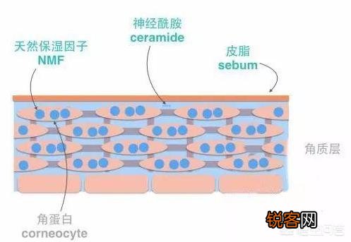 国货哪些洗面奶好用,且泡沫丰富？