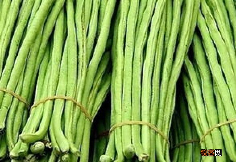四季豆与豇豆的区别