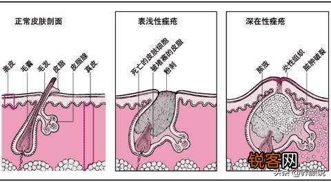 日常深层洁面洗面奶哪个好？