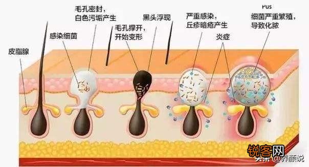 日常深层洁面洗面奶哪个好？