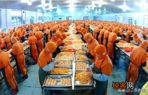 今年生意太难做了,想改行了,哪位老板有好的生意帮忙推荐下？