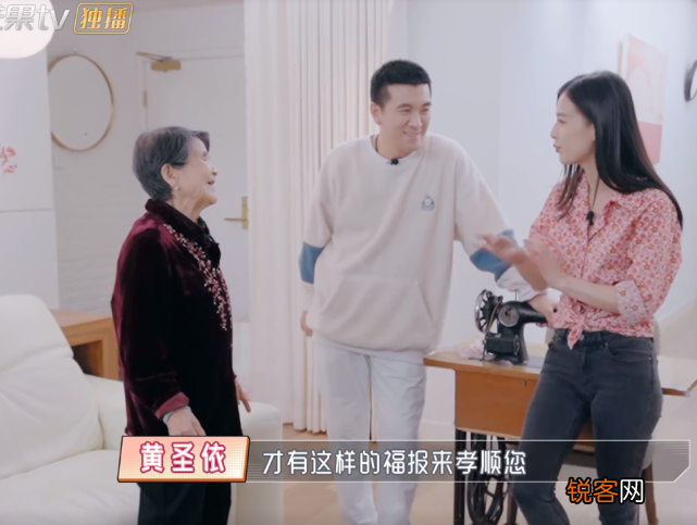 黄圣依婆婆是做什么的 杨子家族的发家史