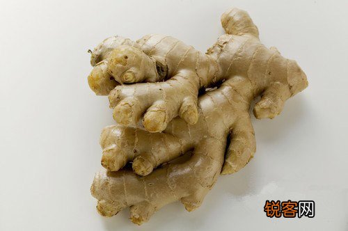茴香是天然抗生素