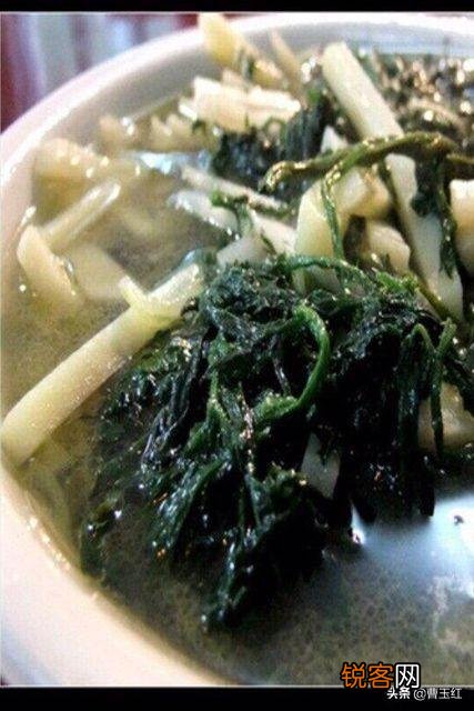 哈拉海菜怎么做最好吃？