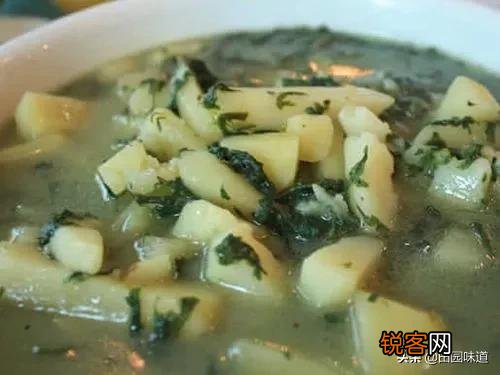 哈拉海菜怎么做最好吃？
