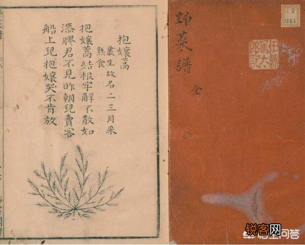 这是什么？