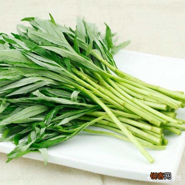 在农村你吃过的野菜有哪些？