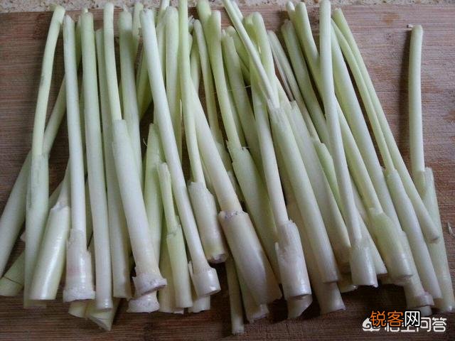 在农村你吃过的野菜有哪些？