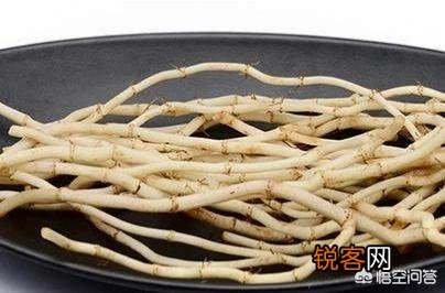 农村哪些野草是人可以食用的？怎么做？