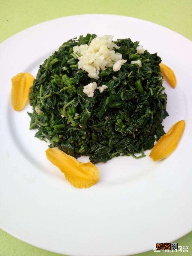 反枝苋是野菜你吃过吗？
