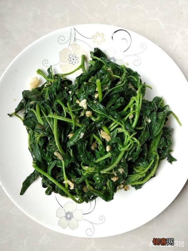 反枝苋是野菜你吃过吗？