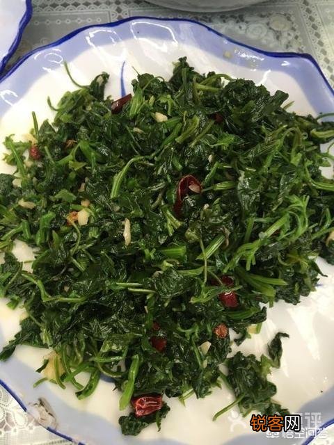 春天到了,苦菜、荠菜、蒲公英等野菜破土而出,你喜欢吃哪一种？