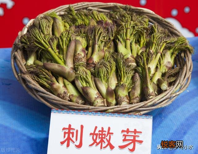 有些农村树上的野菜“刺老芽”,价格比肉还贵,这是为什么？