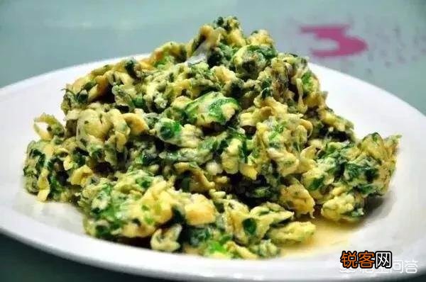 春天挖野菜,你认识刺角芽吗？怎么吃？