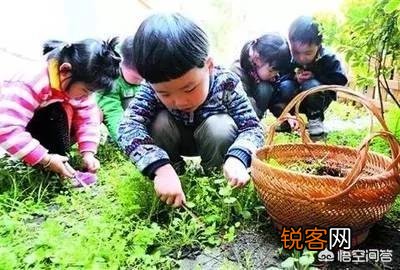3、4月正是野菜成熟的季节,能吃的野菜有多少？