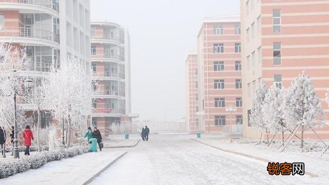 单招与统招的区别是什么,区别大吗？