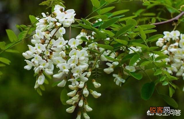 野菜有必要冰冻起来常年吃吗？