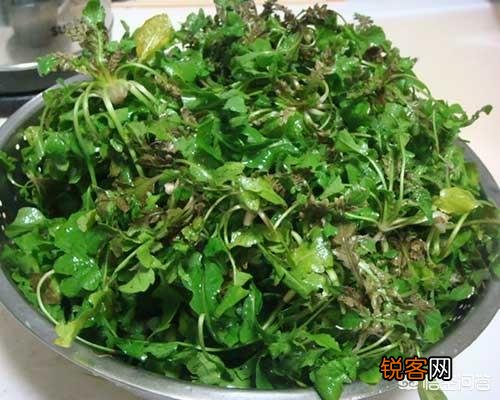 野菜有必要冰冻起来常年吃吗？