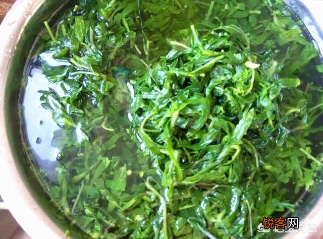 野菜有必要冰冻起来常年吃吗？